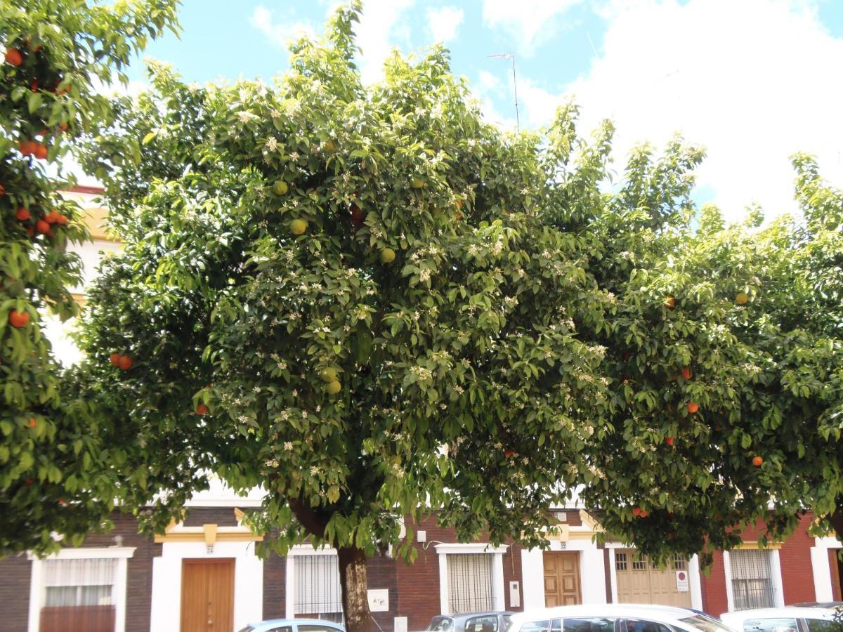 Apartamento En Triana Seville Luaran gambar